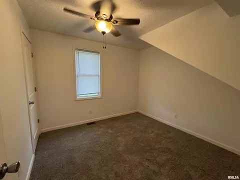 329 E Orange St, Geneseo, IL 61254 photo 17