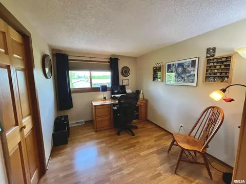 4 Geneva St, Mount Carroll, IL 61053 photo 14