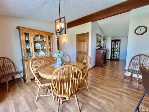 4 Geneva St, Mount Carroll, IL 61053 photo 7
