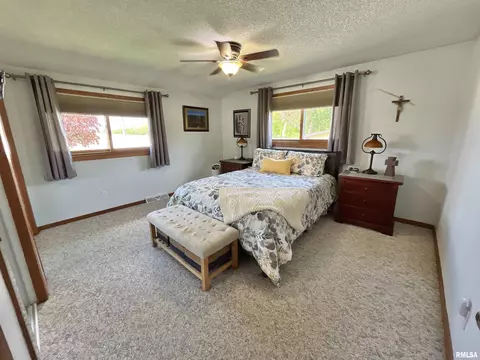 4 Geneva St, Mount Carroll, IL 61053 photo 17