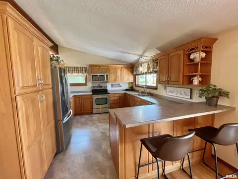 4 Geneva St, Mount Carroll, IL 61053 photo 10