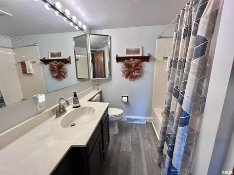 4 Geneva St, Mount Carroll, IL 61053 photo 13