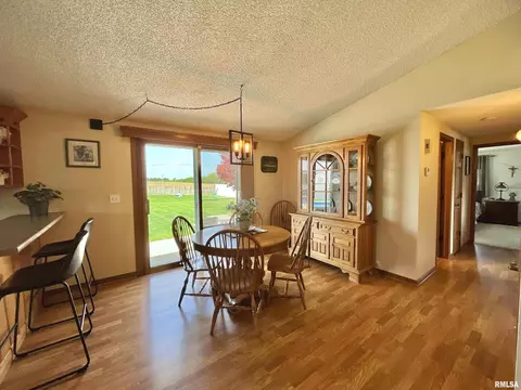 4 Geneva St, Mount Carroll, IL 61053 photo 8
