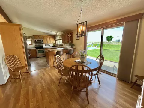 4 Geneva St, Mount Carroll, IL 61053 photo 9