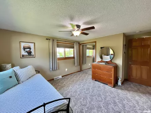 4 Geneva St, Mount Carroll, IL 61053 photo 16
