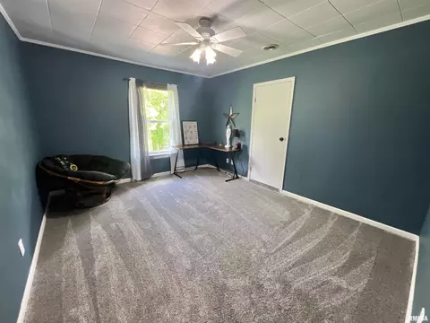 613 N Orange St, Morrison, IL 61270 photo 51