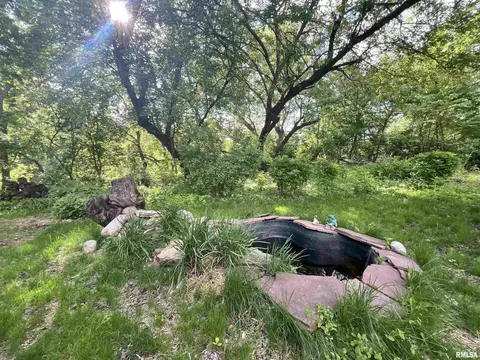613 N Orange St, Morrison, IL 61270 photo 66