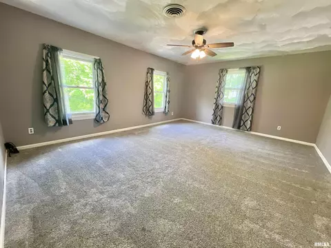 613 N Orange St, Morrison, IL 61270 photo 49