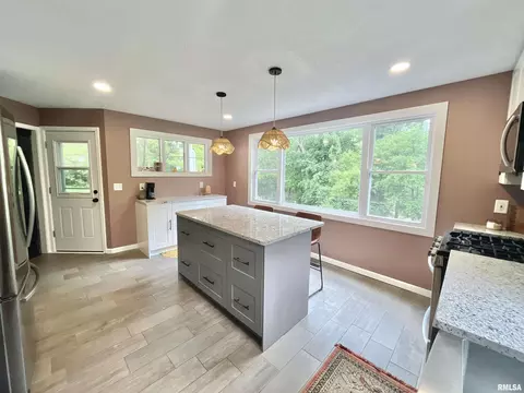 613 N Orange St, Morrison, IL 61270 photo 27