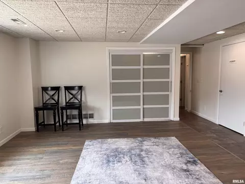 Other - 462 Circle Dr, Kewanee, IL 61443 photo 26 of 33