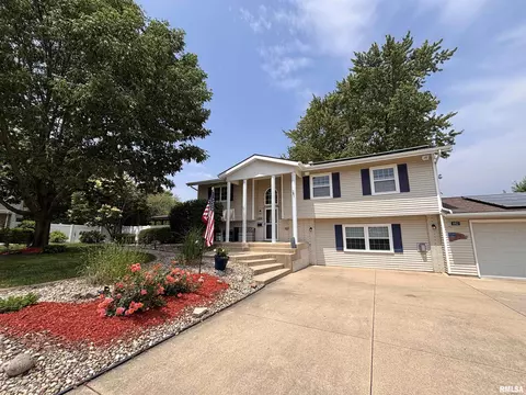 Exterior - 462 Circle Dr, Kewanee, IL 61443 photo 26 of 28