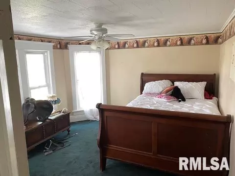 16663 E 150th St, Orion, IL 61273 photo 14