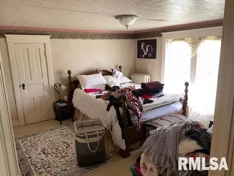 16663 E 150th St, Orion, IL 61273 photo 13