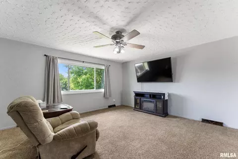 1409 10th Ave, Viola, IL 61486 photo 2