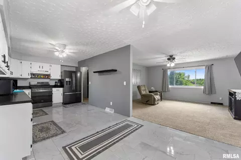 1409 10th Ave, Viola, IL 61486 photo 6