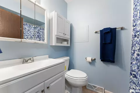 1409 10th Ave, Viola, IL 61486 photo 10