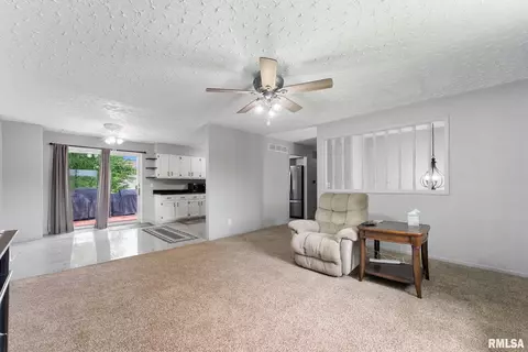 1409 10th Ave, Viola, IL 61486 photo 3