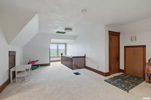976 140th Ave, Joy, IL 61260 photo 30