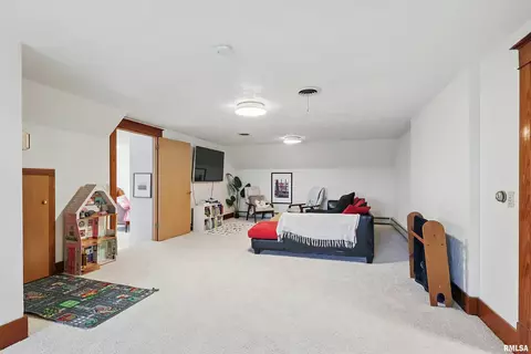 976 140th Ave, Joy, IL 61260 photo 36