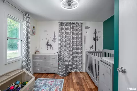 320 14th Ave E, Milan, IL 61264 photo 7