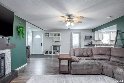320 14th Ave E, Milan, IL 61264 photo 13