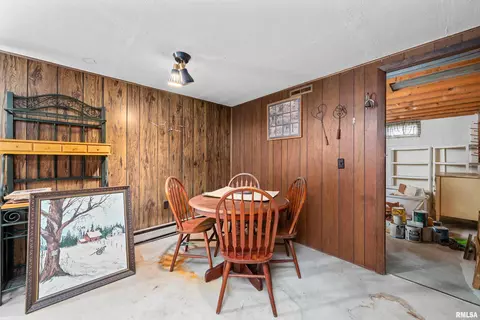 405 E Henry St, Cambridge, IL 61238 photo 22