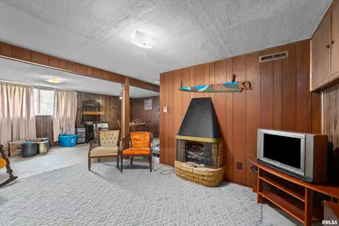 405 E Henry St, Cambridge, IL 61238 photo 20