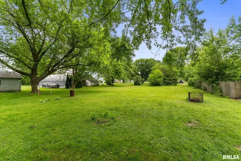 204 E Main St, Joy, IL 61260 photo 24