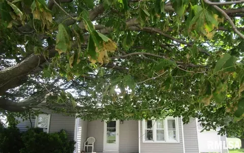 609 N 1st St, Alpha, IL 61413