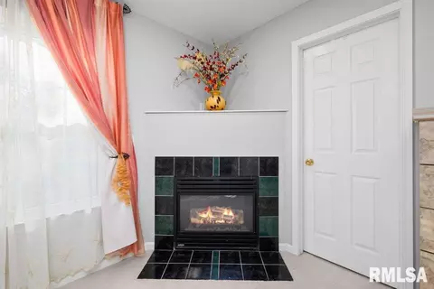308 8th Ave, Hampton, IL 61256 photo 26
