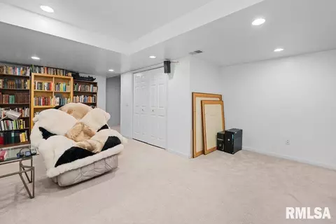 308 8th Ave, Hampton, IL 61256 photo 35