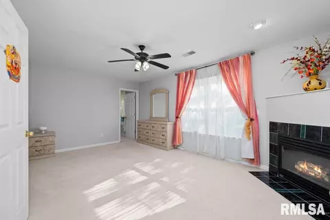 308 8th Ave, Hampton, IL 61256 photo 24