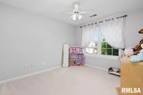 308 8th Ave, Hampton, IL 61256 photo 31