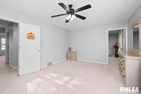 308 8th Ave, Hampton, IL 61256 photo 32