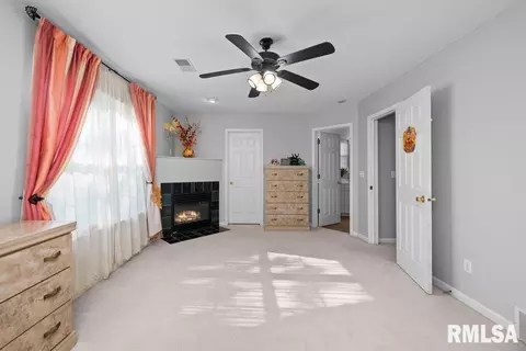 308 8th Ave, Hampton, IL 61256 photo 23