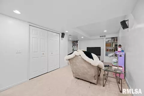 308 8th Ave, Hampton, IL 61256 photo 38