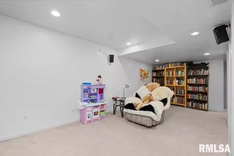 308 8th Ave, Hampton, IL 61256 photo 36