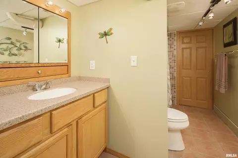 824 20th Ave, Moline, IL 61265 photo 28
