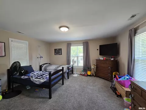 800 13th Ave, Fulton, IL 61252 photo 11