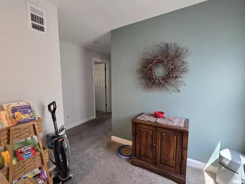 800 13th Ave, Fulton, IL 61252 photo 8