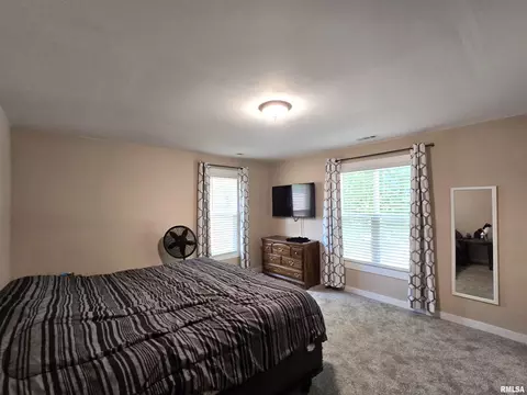 800 13th Ave, Fulton, IL 61252 photo 9