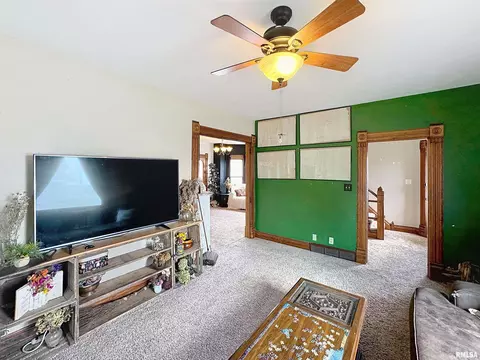 101 W F St, Alpha, IL 61413 photo 6
