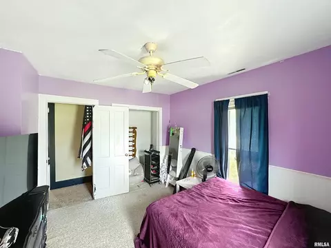 101 W F St, Alpha, IL 61413 photo 20