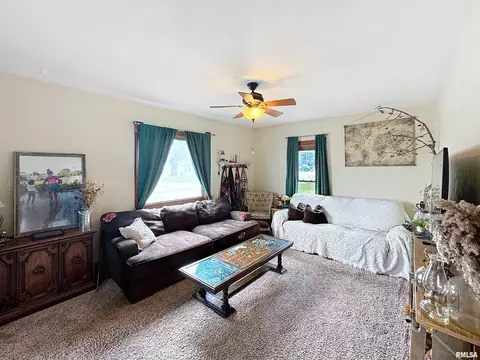 101 W F St, Alpha, IL 61413 photo 5