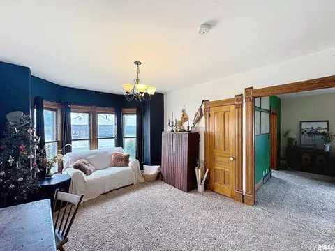 101 W F St, Alpha, IL 61413 photo 8
