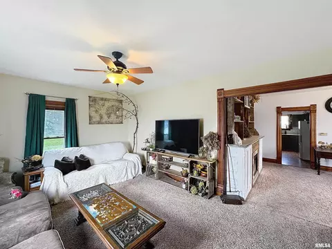 101 W F St, Alpha, IL 61413 photo 4
