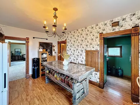 101 W F St, Alpha, IL 61413 photo 13