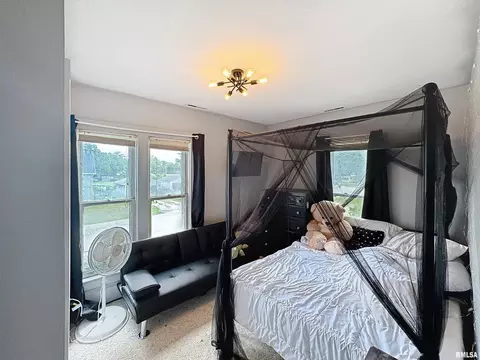 101 W F St, Alpha, IL 61413 photo 21