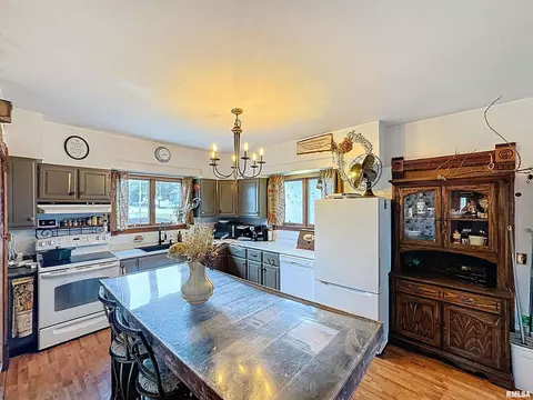 101 W F St, Alpha, IL 61413 photo 11