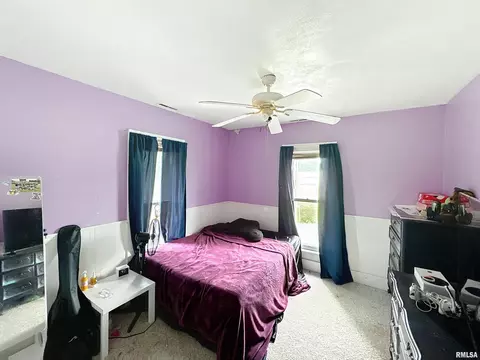 101 W F St, Alpha, IL 61413 photo 19